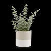 Bouclair Apple Succulent in Two-Toned Ceramic Pot* Artificial Plants