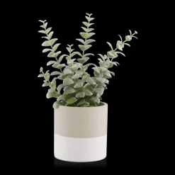 Bouclair Apple Succulent in Two-Toned Ceramic Pot* Artificial Plants