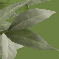 Bouclair Aritificial Eucalyptus Plant in Ceramic Pot* Artificial Plants