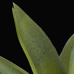 Bouclair Artificial Cast-Iron Plant in White Speckled Pot* Artificial Plants