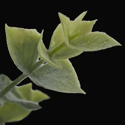 Bouclair Artificial Eucalyptus in Ceramic Pot* Artificial Plants