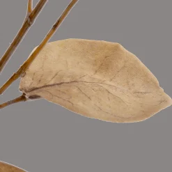 Bouclair Artificial Eucalyptus Stem* Branches|Artificial Flowers