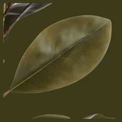 Bouclair Artificial Ficus Tree* Branches|Artificial Flowers