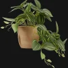 Bouclair Artificial Fittonia in Wood Pot* Artificial Plants