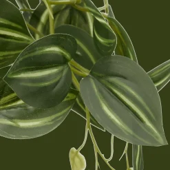 Bouclair Artificial Fittonia in Wood Pot* Artificial Plants