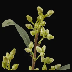 Bouclair Artificial Flower* Branches|Artificial Flowers