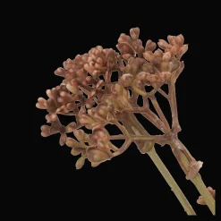 Bouclair Artificial Hemlock Flower Stem* Branches|Artificial Flowers
