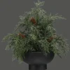 Bouclair Artificial Juniper in Pot* Artificial Plants
