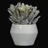 Bouclair Artificial Panda Plant in Ceramic Pot* Artificial Plants