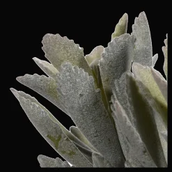 Bouclair Artificial Panda Plant in Ceramic Pot* Artificial Plants