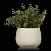 Bouclair Artificial Plant in Beige Speckled Pot* Artificial Plants