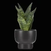 Bouclair Artificial Plant in Black Matte Ceramic Pot* Artificial Plants