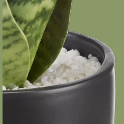 Bouclair Artificial Plant in Black Matte Ceramic Pot* Artificial Plants