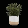 Bouclair Artificial Plant in Ceramic Pot* Artificial Plants