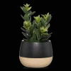 Bouclair Artificial Plant in Colour-Block Pot* Artificial Plants