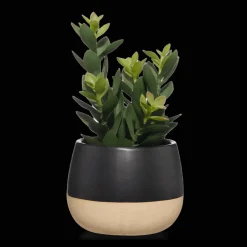 Bouclair Artificial Plant in Colour-Block Pot* Artificial Plants