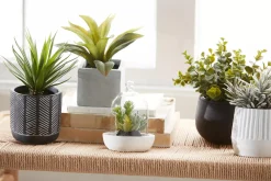 Bouclair Artificial Plant in Striped Pot* Artificial Plants