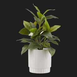 Bouclair Artificial Plant in Striped Pot* Artificial Plants