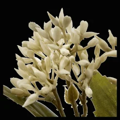 Bouclair Artificial White Lilac Bud Stem* Branches|Artificial Flowers