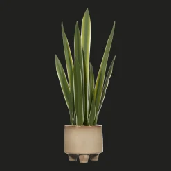Bouclair Artificial Yucca Leaf in Ceramic Pot* Artificial Plants