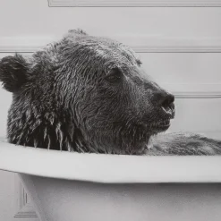 Bouclair Bear in Bathtub Printed Framed Canvas* Printed & Photography Wall Art Canvases