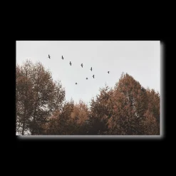 Bouclair Birds over Fall Forest Printed Canvas* Printed & Photography Wall Art Canvases