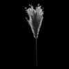 Bouclair Black Pampas Stem* Branches|Artificial Flowers