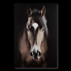 Bouclair Brown Horse Printed Canvas* Printed & Photography Wall Art Canvases