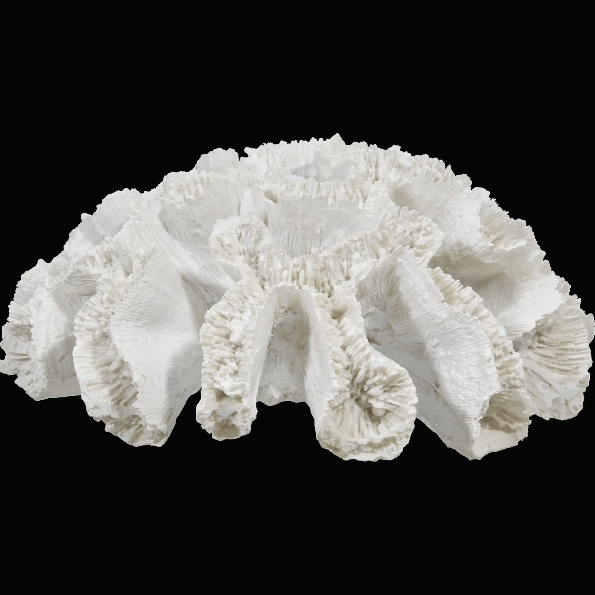 Bouclair Decorative Coral* Home Decorative Items & Objects