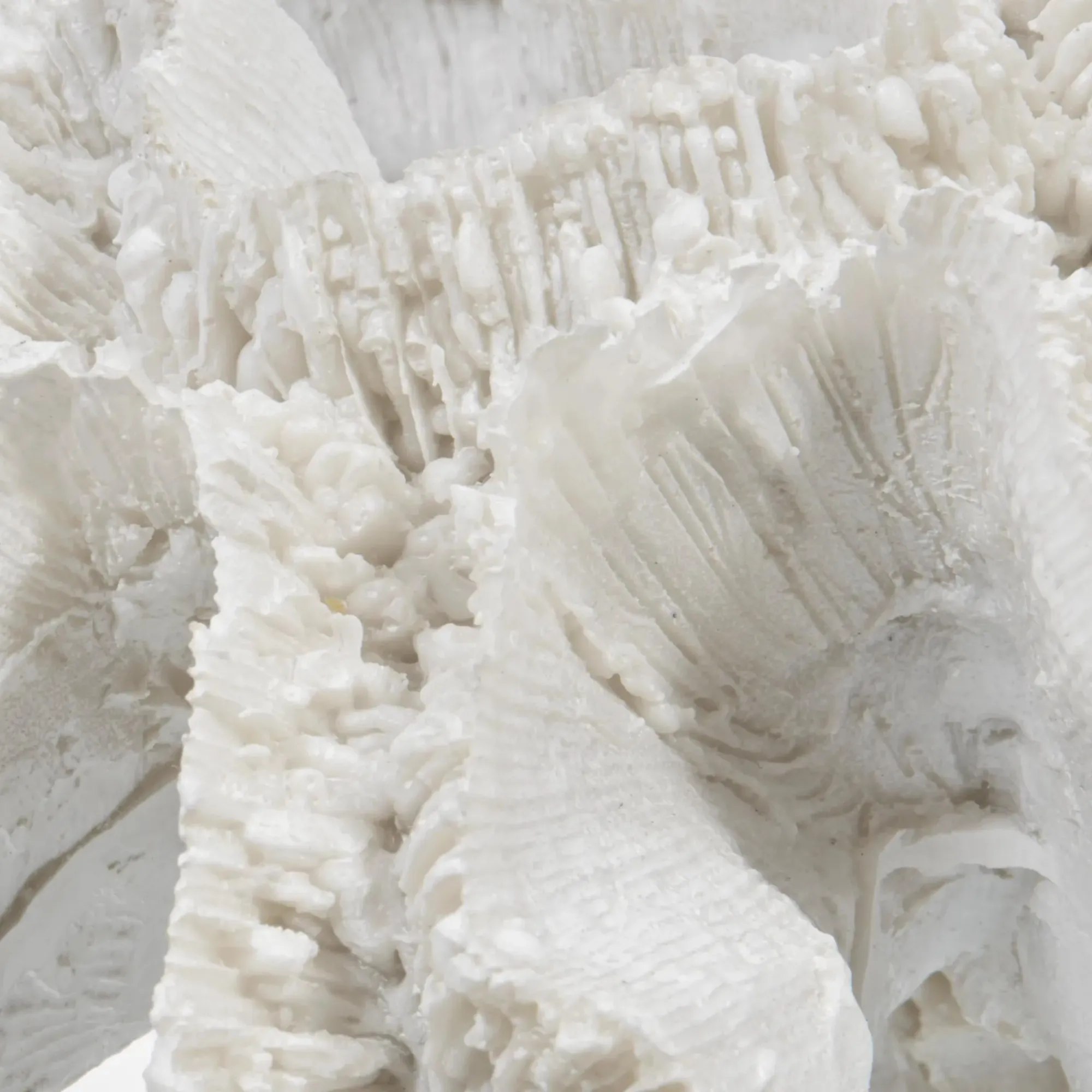 Bouclair Decorative Coral* Home Decorative Items & Objects