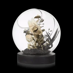 Bouclair Decorative Stems in Glass Dome* Home Decorative Items & Objects