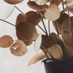 Bouclair Eucalyptus Bouquet Framed Art* Printed & Photography Wall Art Canvases