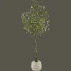 Bouclair Eucalyptus Tree* Branches|Artificial Flowers