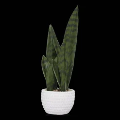 Bouclair Faux Rattan Ceramic Pot with Artificial Plant* Artificial Plants