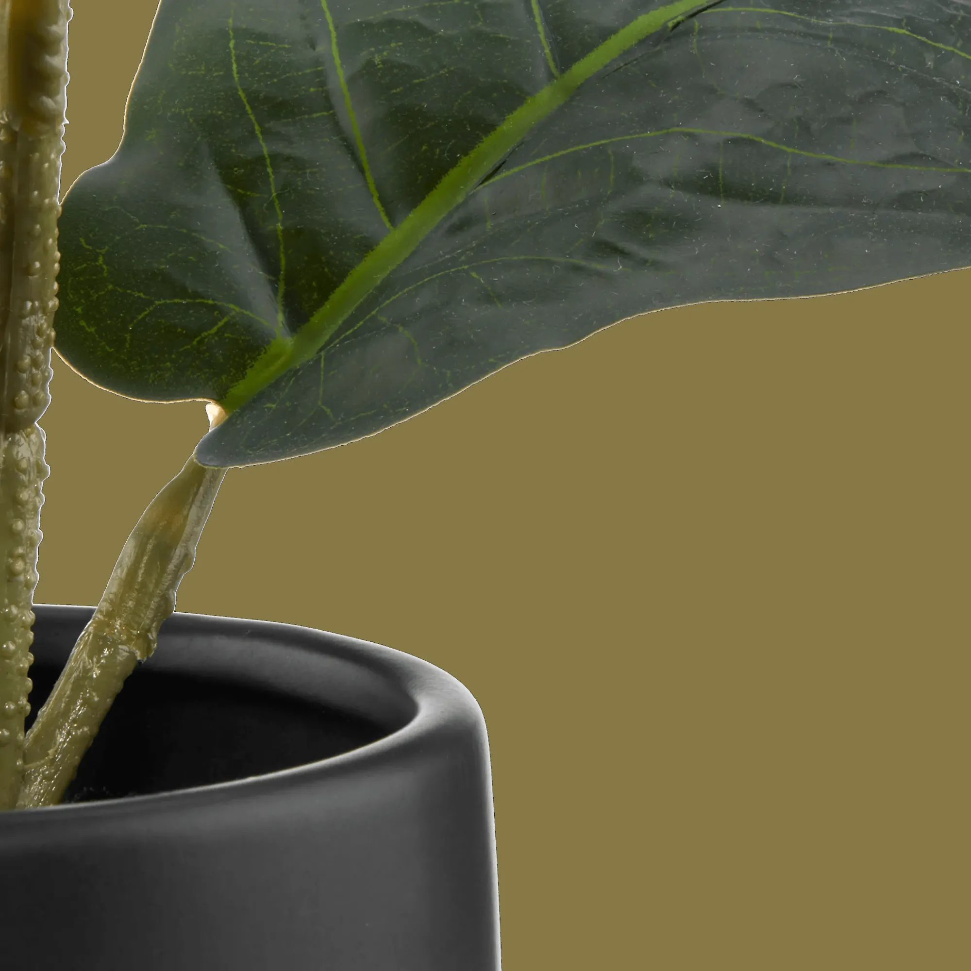 Bouclair Ficus in black ceramic pot* Artificial Plants
