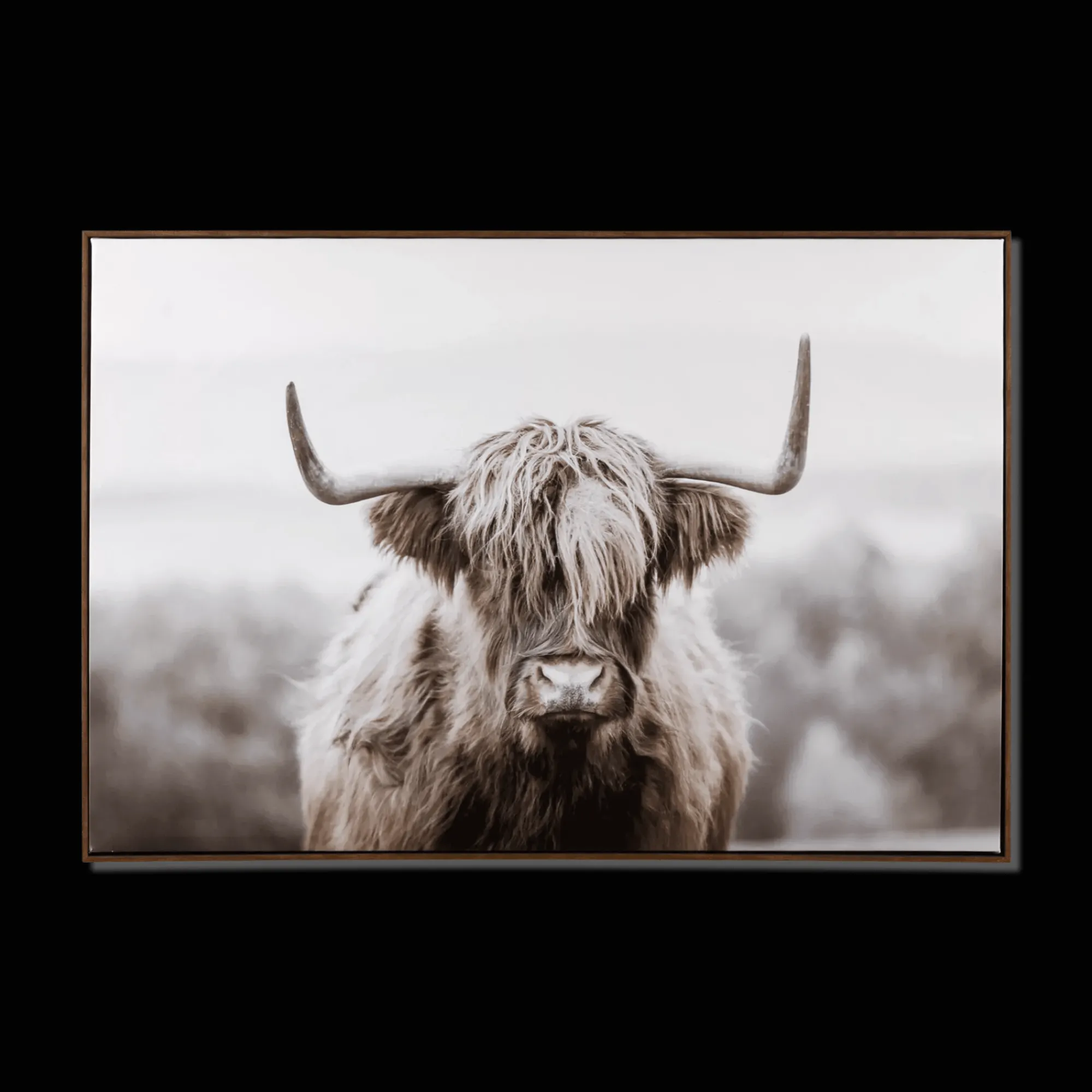 Bouclair Furry Highland Cow Framed Art* Printed & Photography Wall Art Canvases