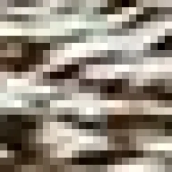 Bouclair Hedgehog Canvas Framed Art* Christmas Decorative Objects