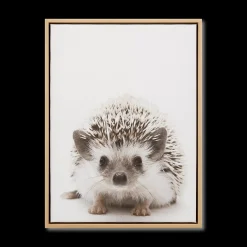 Bouclair Hedgehog Framed Canvas* Printed & Photography Wall Art Canvases