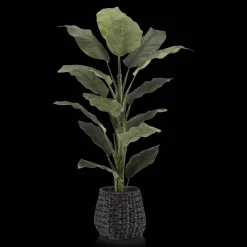 Bouclair Large Ficus in Black Rattan Pot* Branches|Artificial Flowers