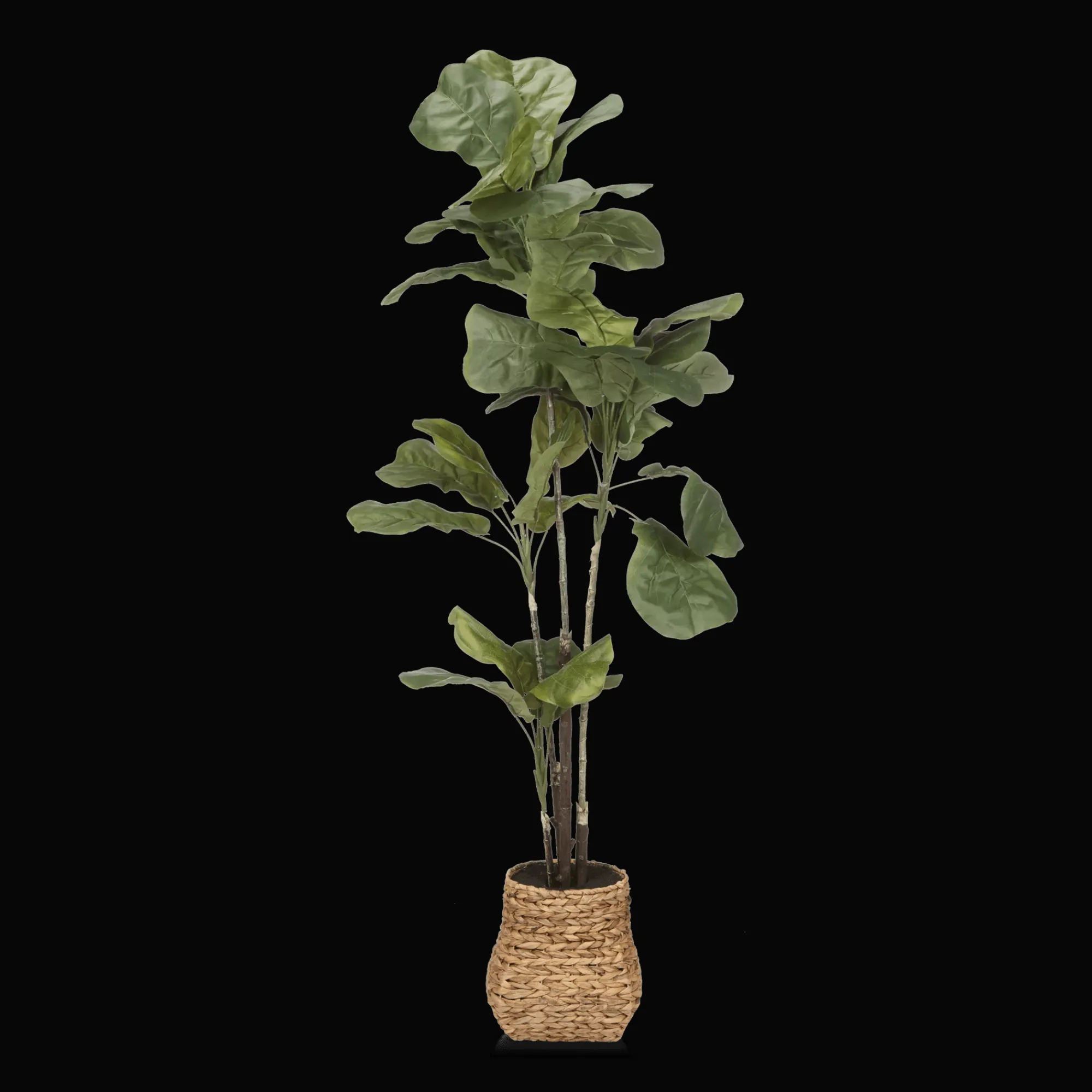 Bouclair Large Fiddle-Leaf Fig Potted Floor Plant* Branches|Artificial Flowers