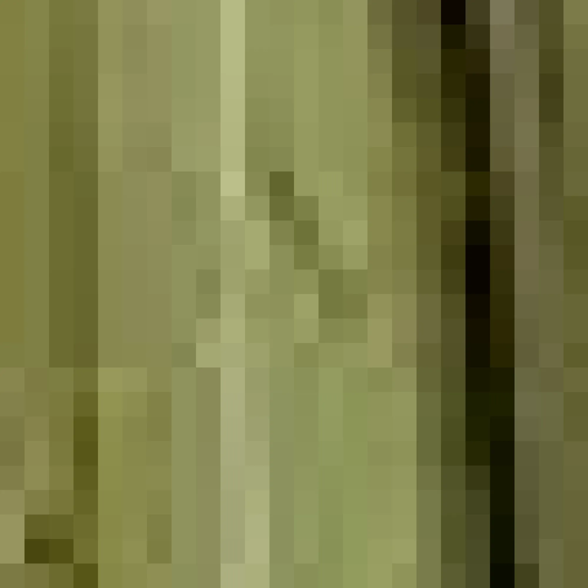 Bouclair LED Glass Decorative Tree* Seasonal Greenery