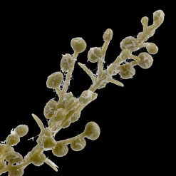 Bouclair Mini Pot of Greenery* Artificial Plants