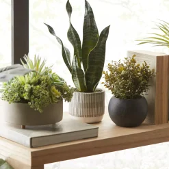 Bouclair Mixed Artificial Agave in Cement Planter* Artificial Plants