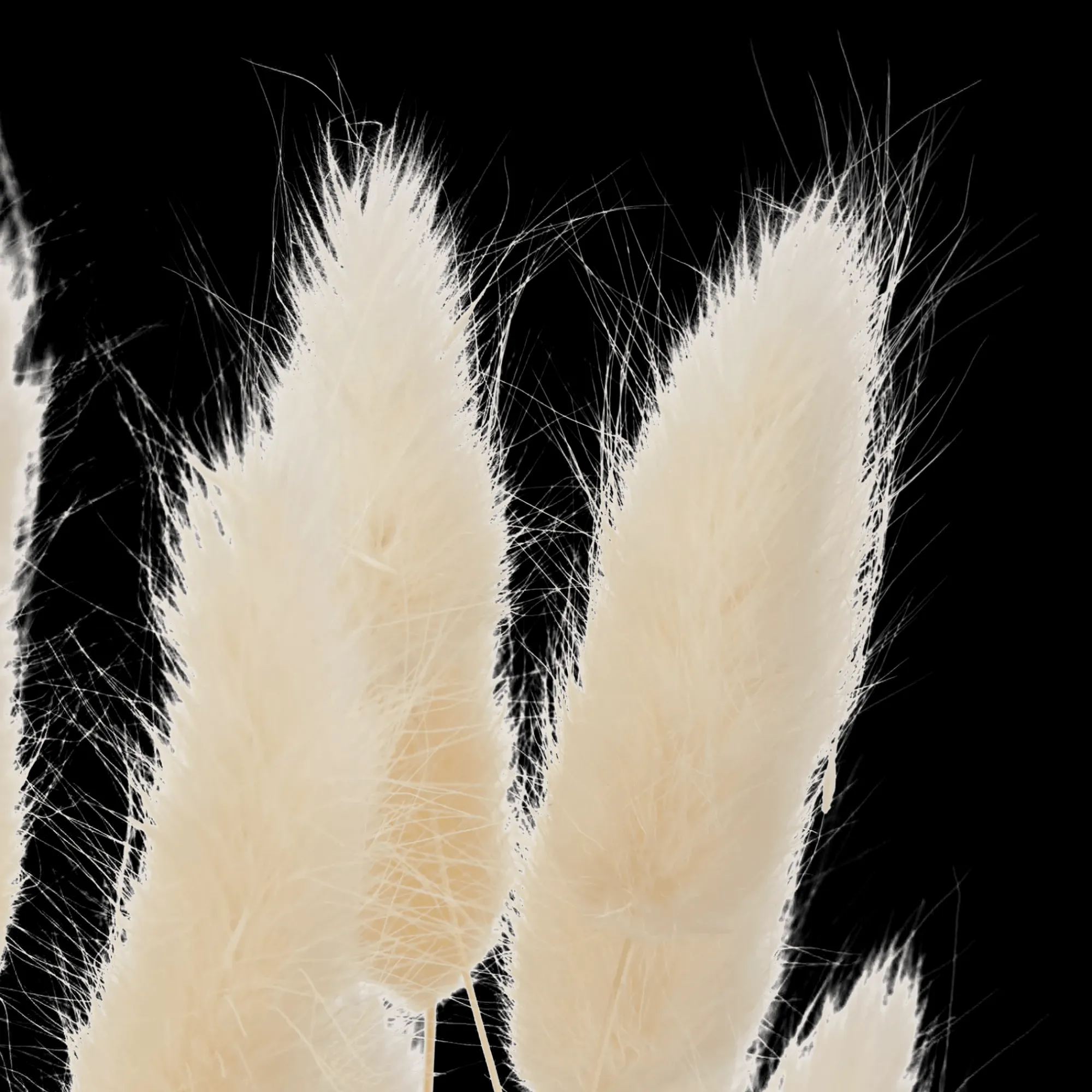 Bouclair Natural Wheat Bunch* Branches|Artificial Flowers