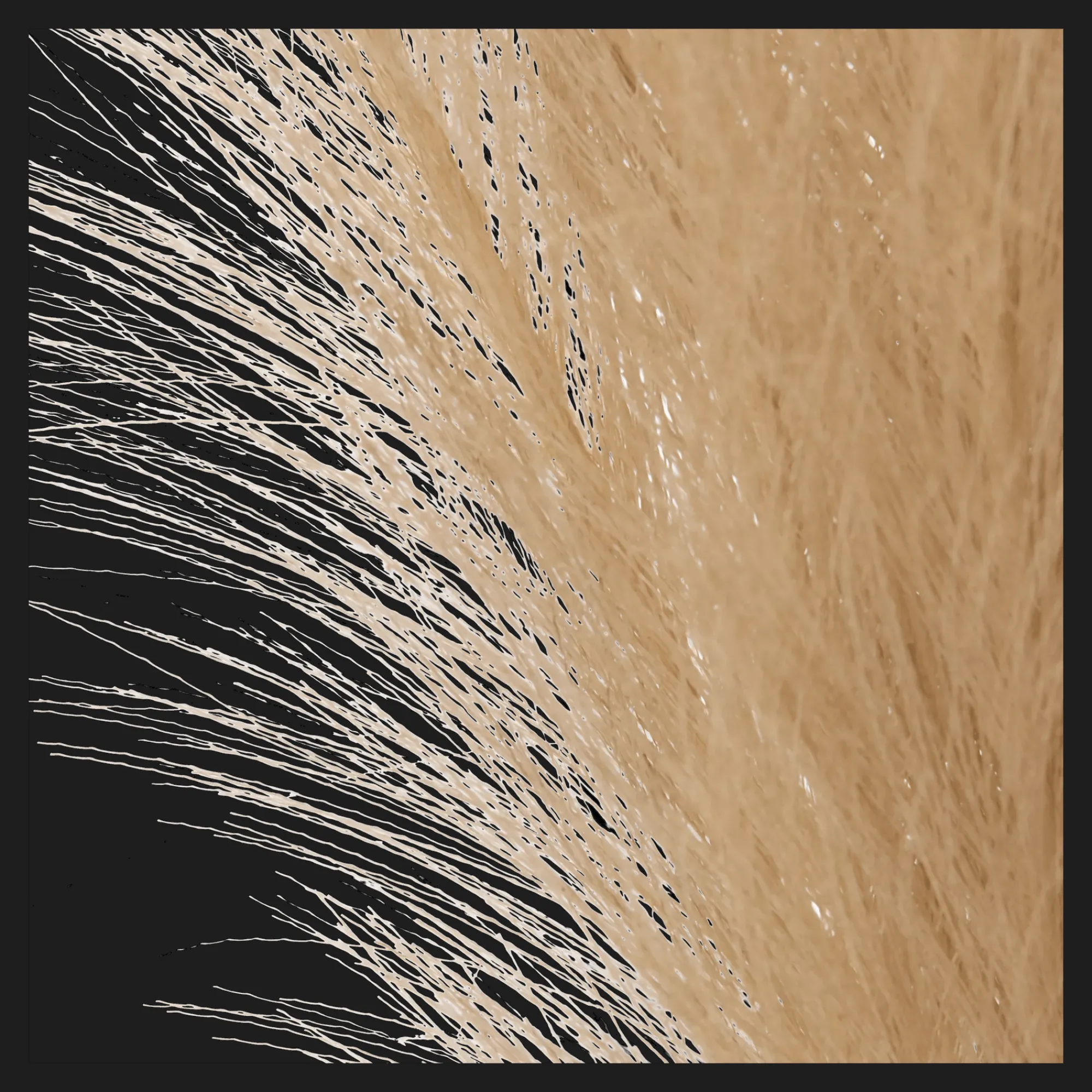 Bouclair Pampas Bouquet in Vase* Artificial Plants