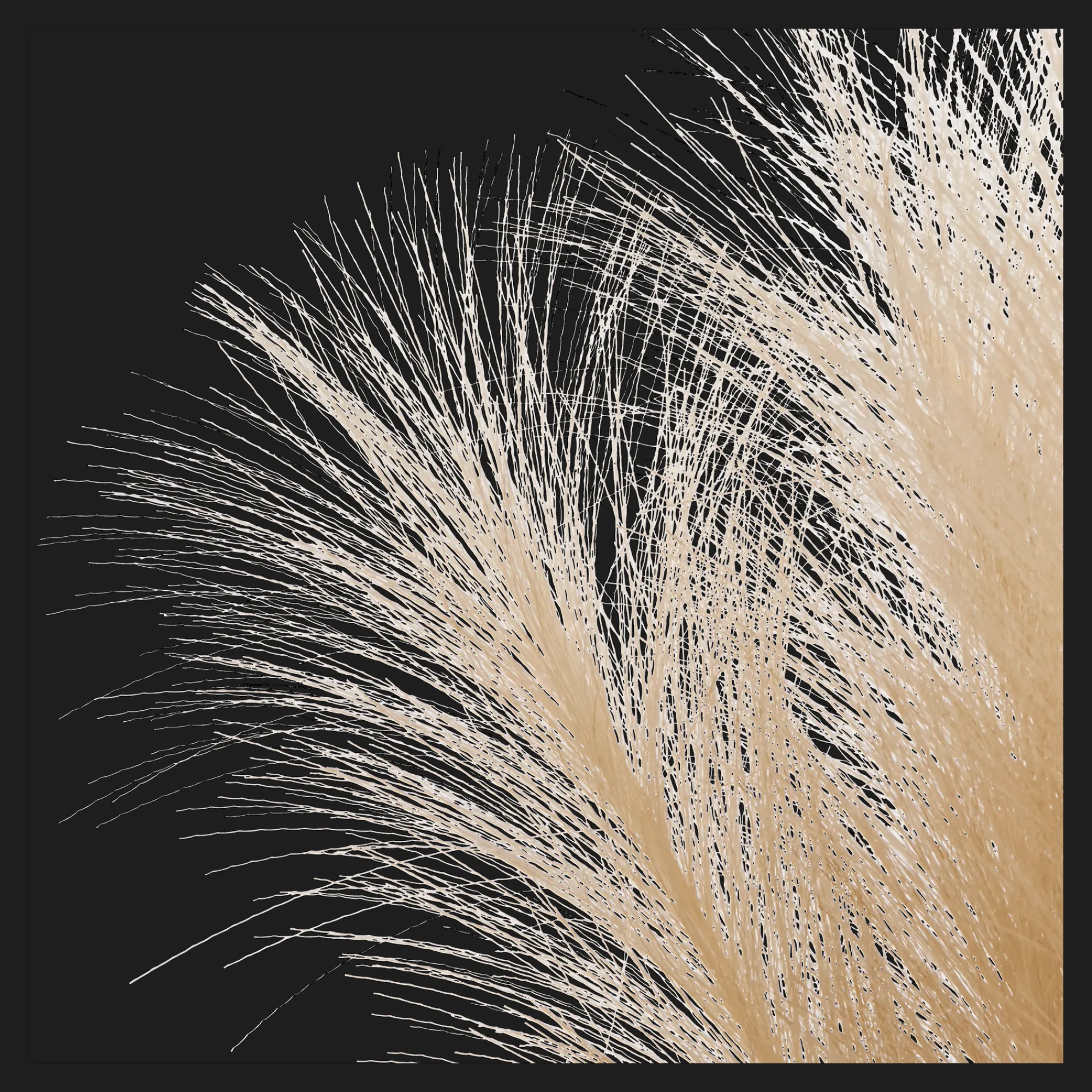 Bouclair Pampas Bouquet in Vase* Artificial Plants