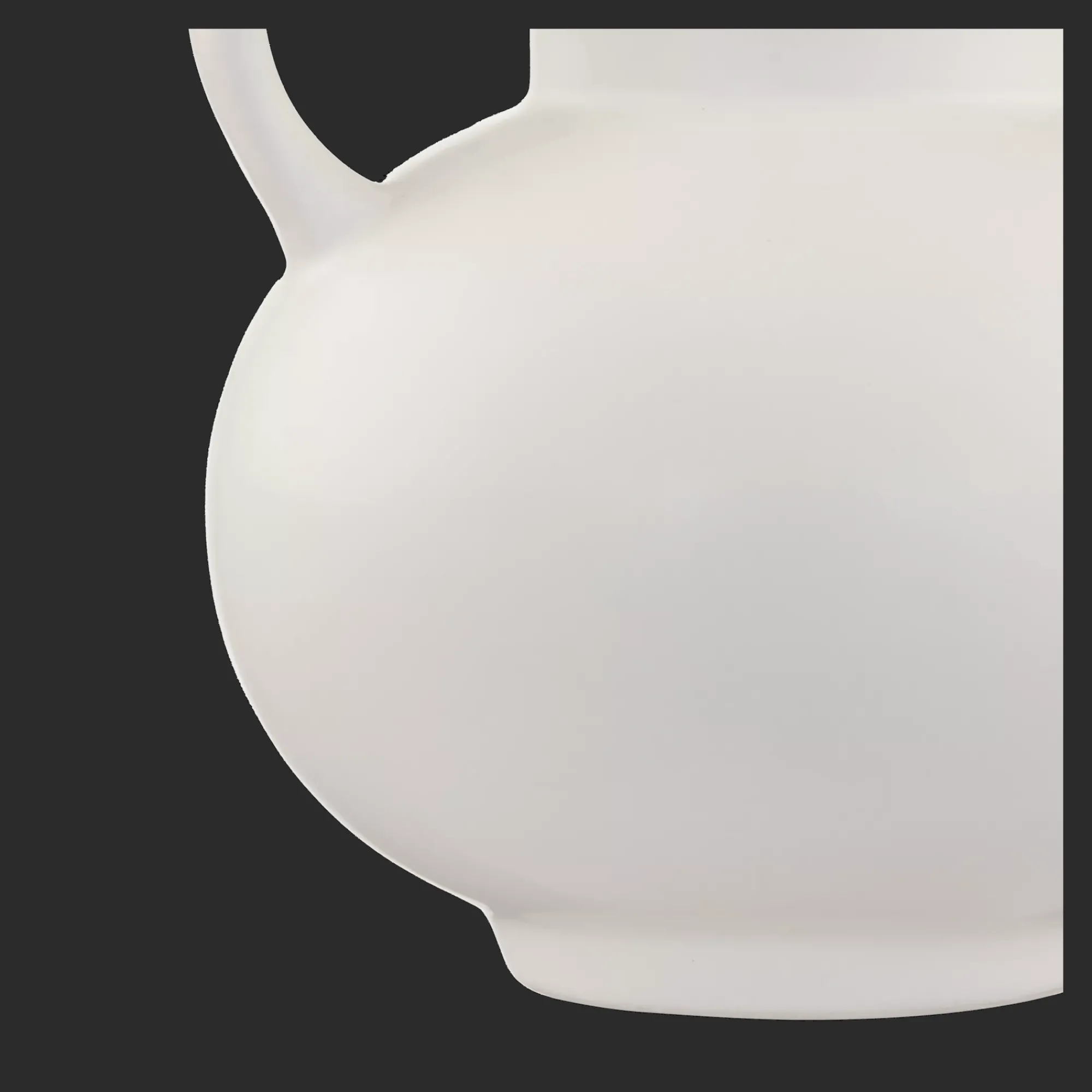 Bouclair Pampas Bouquet in Vase* Artificial Plants