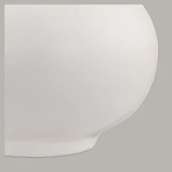 Bouclair Pampas Bouquet in Vase* Artificial Plants