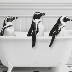 Bouclair Penguins in Bathtub Printed Framed Canvas* Printed & Photography Wall Art Canvases