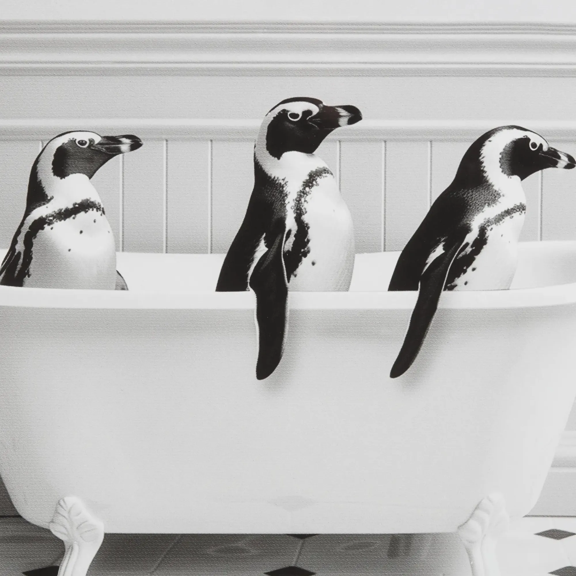 Bouclair Penguins in Bathtub Printed Framed Canvas* Printed & Photography Wall Art Canvases